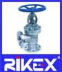 Industrial DIN Stainless Steel PN16/25/40 Angle Valve